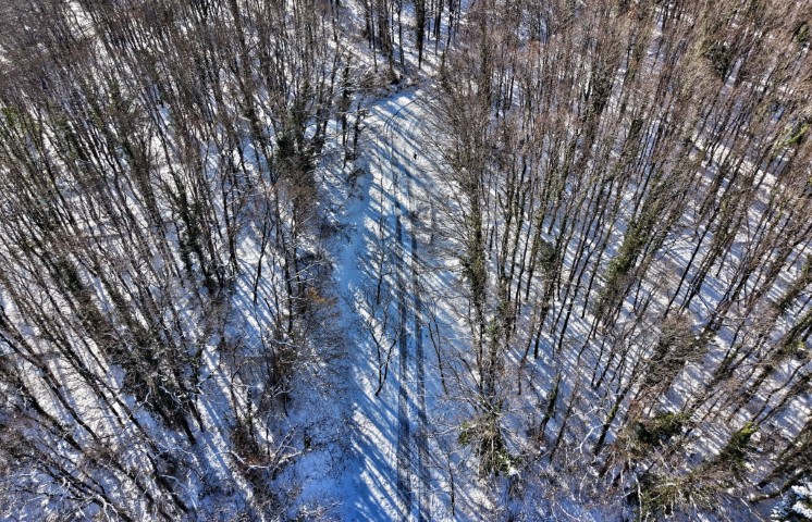 İstanbul’da kar göremeyenler Atatürk Arboretumu’na gitti