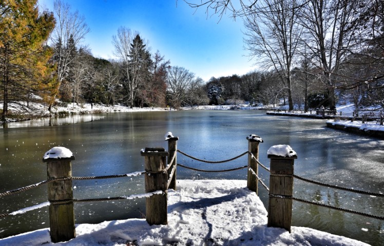 İstanbul’da kar göremeyenler Atatürk Arboretumu’na gitti