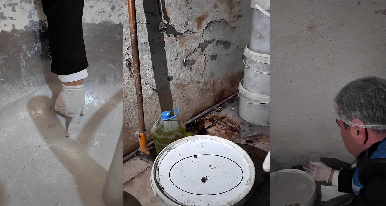 Fırında ortaya çıkan görüntülere tepki gösteren zabıta müdürü: "Fareyi geçtim, yılan çıkacak diye korkuyorum"