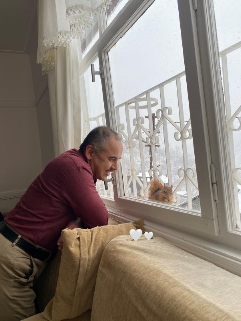 Aç kalan sincaplar pencerelere misafir oluyor