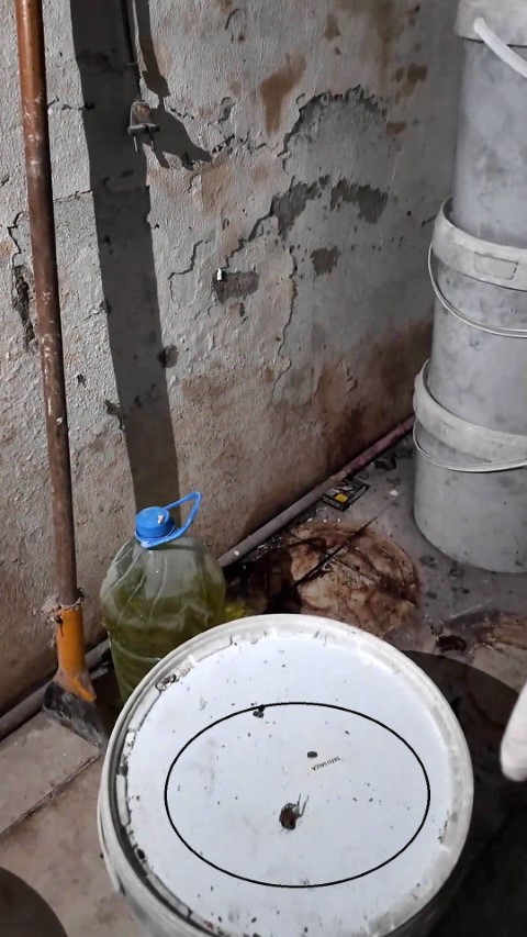 Fırında ortaya çıkan görüntülere tepki gösteren zabıta müdürü: 