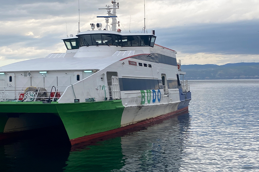 BUDO’nun bazı seferleri iptal edildi