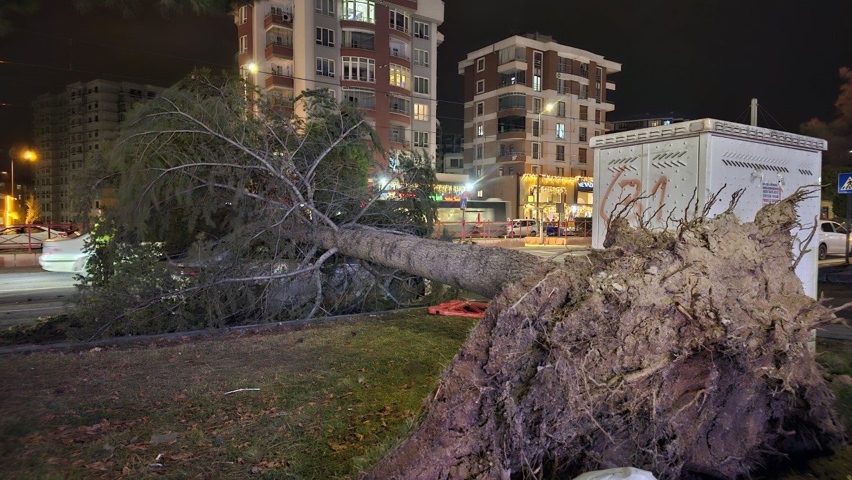 Kayseri’nin Talas ilçesinde şiddetli rüzgardan dolayı otomobilin üzerine ağaç devrildi.