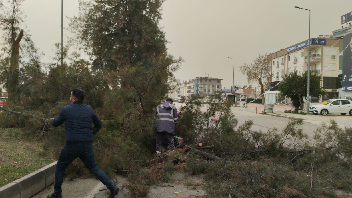Antalya’da çatı uçtu, aracın üzerine tabela devrildi, elektrik telleri koptu