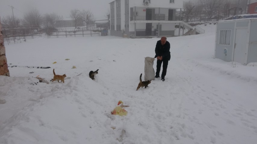 Yaklaşık 2 bin nüfuslu köyde kışın sadece bir aile yaşıyor