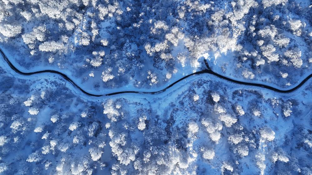 İstanbul, Kartepe’ye akın etti