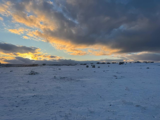Çimsa, şehitlik için 80 yıllık rezervden feragat ediyor
