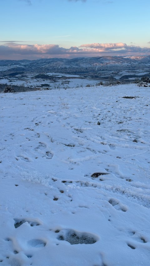 Çimsa, şehitlik için 80 yıllık rezervden feragat ediyor
