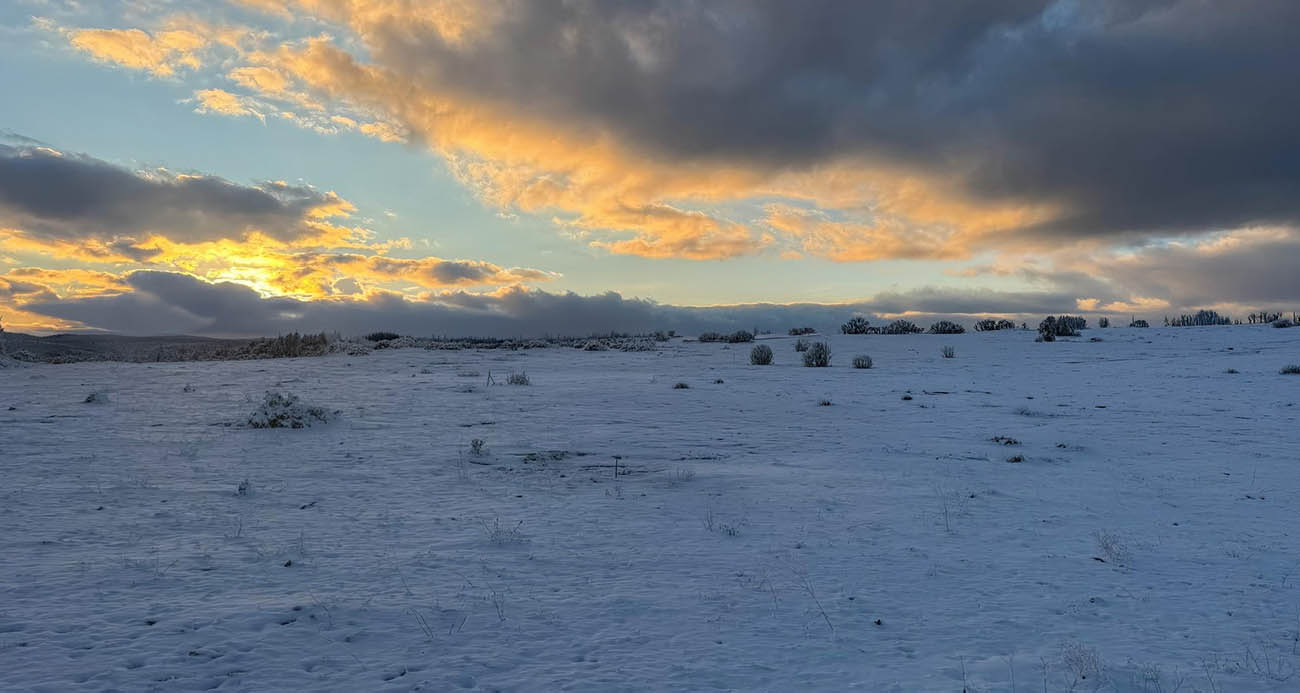 Çimsa, şehitlik için 80 yıllık rezervden feragat ediyor