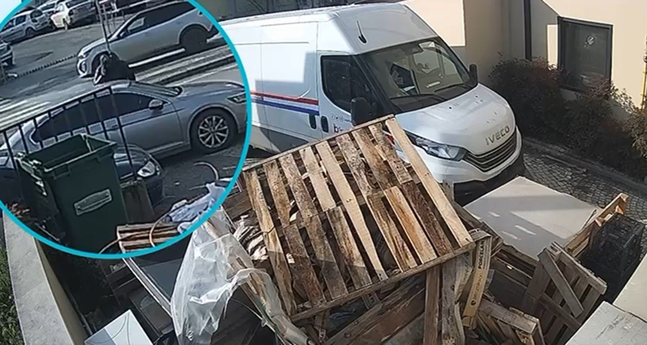 Sakarya’nın Adapazarı ilçesinde kendilerini polis ve savcı olarak tanıtarak vatandaşları 3,5 milyon TL dolandıran 2 kişi, Sakarya polisinin İstanbul’da düzenlediği operasyonla yakalandı. Gözaltına alınan şüpheliler, çıkarıldıkları mahkemece tutuklandı.