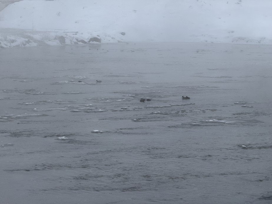 Yakutistan değil Sivas: Termometreler eksi 22 dereceyi gösterdi, şehirde hayat dondu