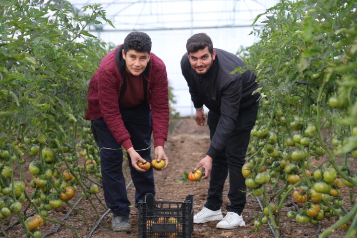 Devlet desteğiyle kendi işlerinin sahibi oldular, üretime başladılar