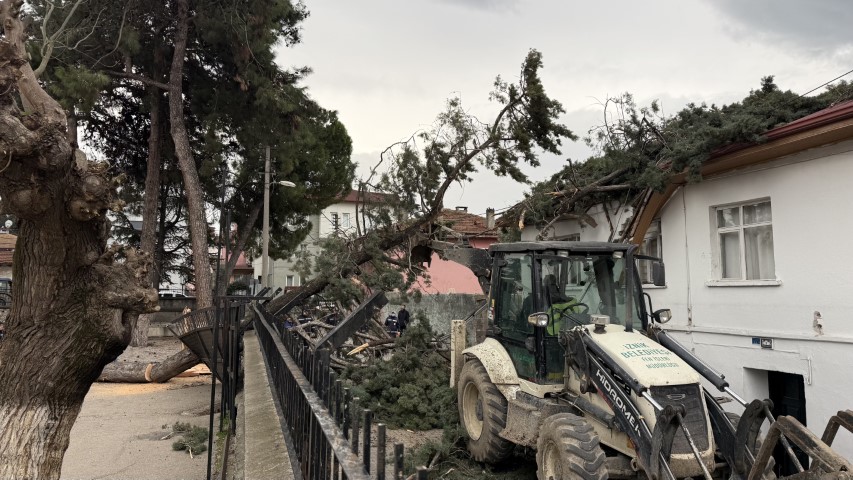İznik’te okulların tatil olması faciayı önledi..Dev ağaç okul bahçesine devrildi