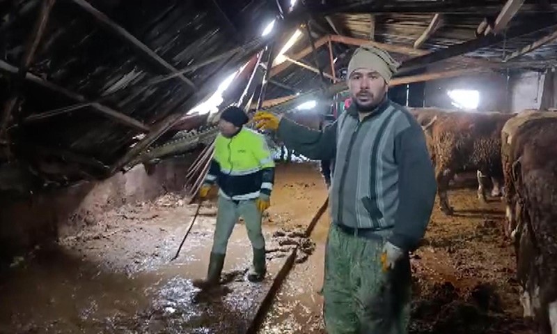 Sivas’ta ahır çöktü, o anlar güvenlik kamerasına yansıdı