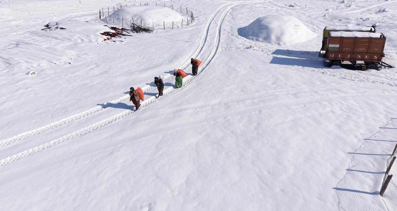 Mazıdağı’nın karlı yollarında zorlu mesai: Kadınlar sırtlarında saman taşıyarak kışa meydan okuyor