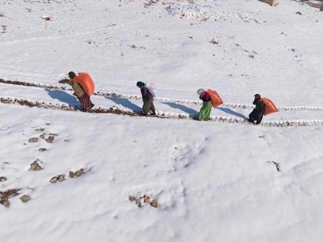 Mazıdağı’nın karlı yollarında zorlu mesai: Kadınlar sırtlarında saman taşıyarak kışa meydan okuyor