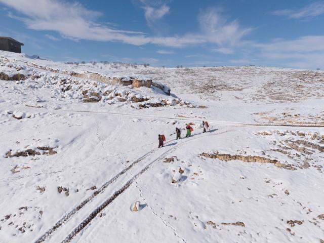Mazıdağı’nın karlı yollarında zorlu mesai: Kadınlar sırtlarında saman taşıyarak kışa meydan okuyor