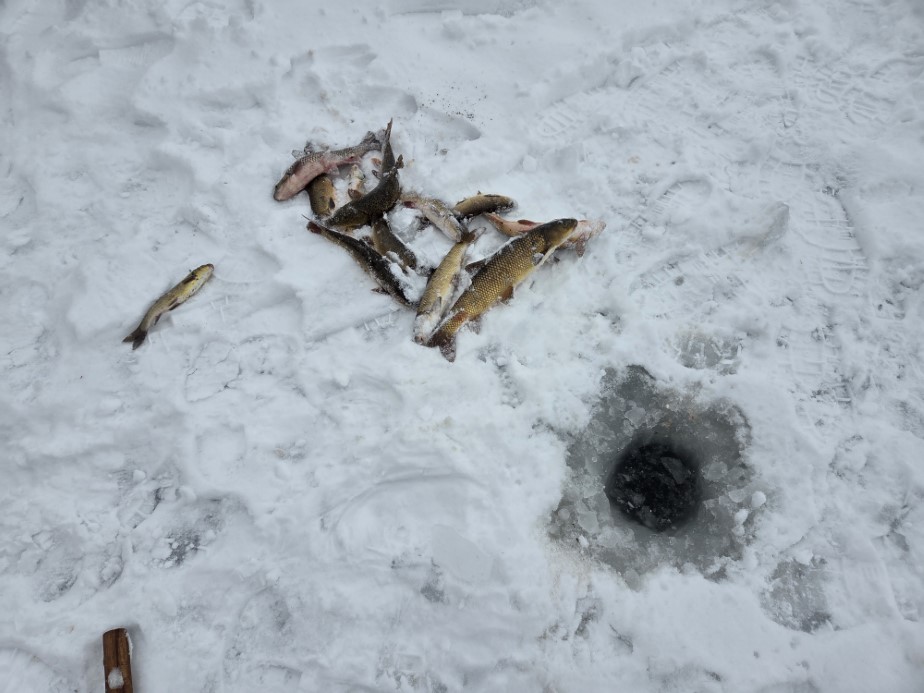 Türkiye’nin en uzun nehri dondu, üzerinde eskimo usülü balık avladılar