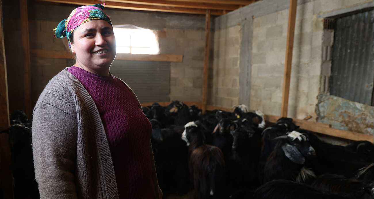 Kırsalda hayvancılıkla uğraşan kadın besicinin zorlu mesaisi