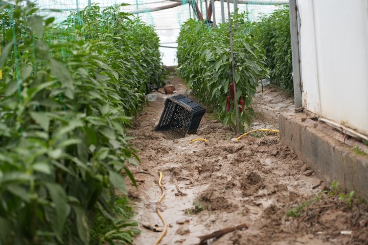 Aksu’da sel ve hortum felaketi: Milyonluk tekneler parçalandı, 700 dönüm alanda seralar sular altında kaldı