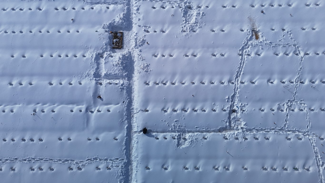 Karla kaplanan mezarda yakınlarının kabirlerini bulmakta zorlandılar