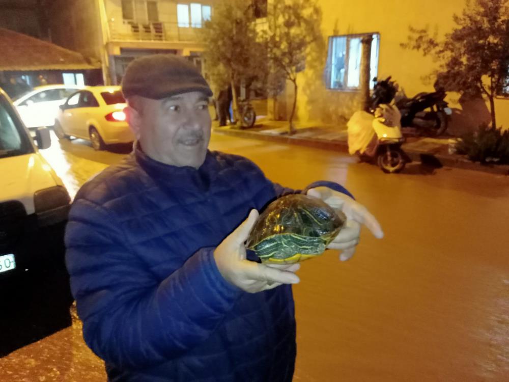 Manisa’da sağanak yağış etkili oldu: Otomobil dereye düştü, elektrikli otomobil alev aldı