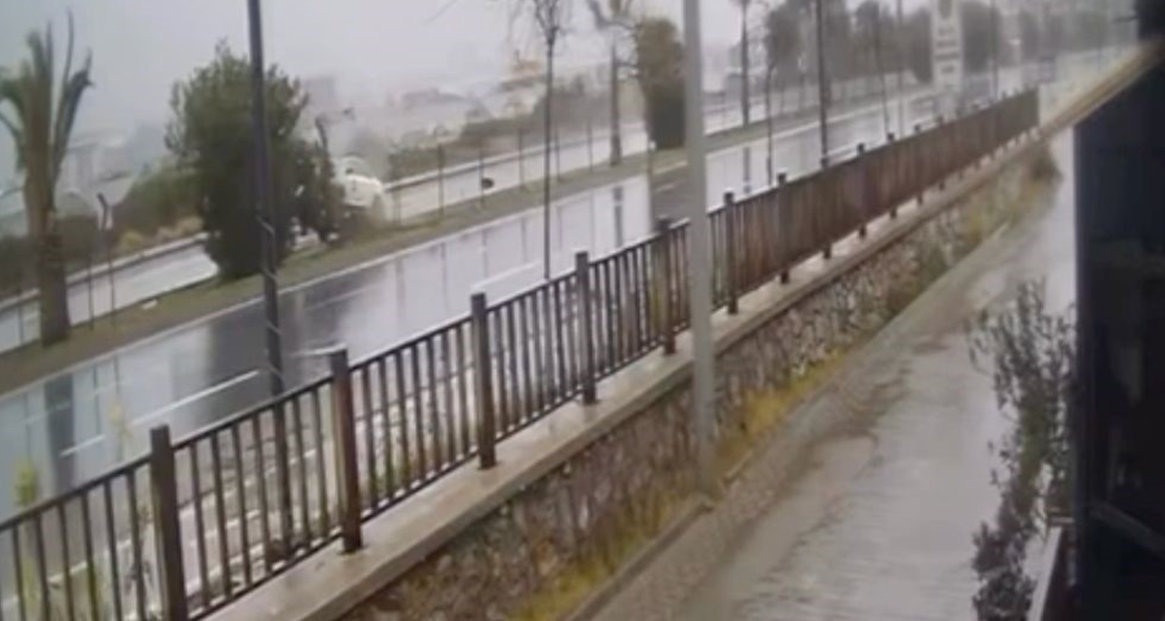 Kontrolden çıkan otomobil refüjdeki ağaca çarpıp takla attı