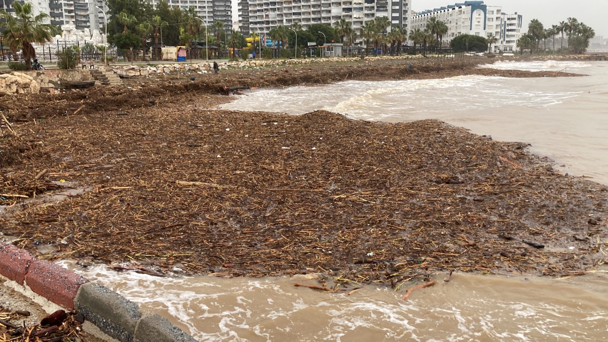 Sel sonrası deniz kahverengi oldu, sahiller odun doldu