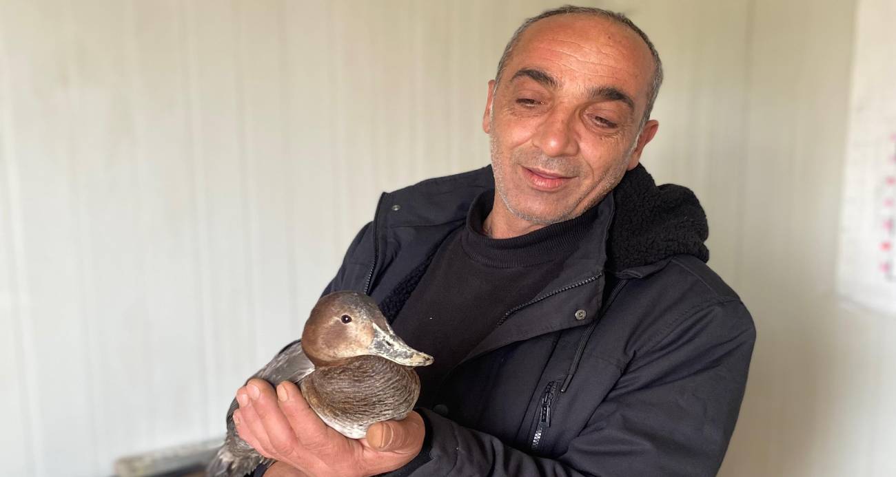 Şantiyede yaralı halde bulduğu ördeğe çocuğu gibi baktı