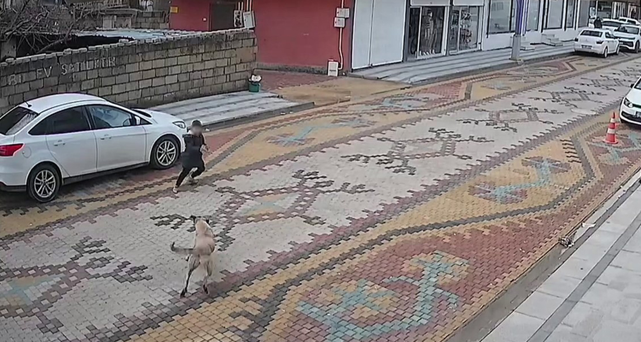 Mardin’de sokak köpeklerinin saldırdığı çocuğu esnaf kurtardı