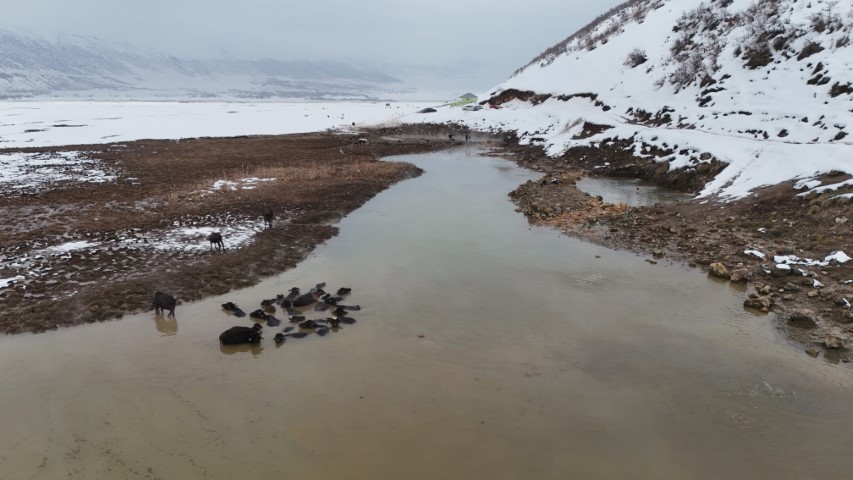 Eksi 25 derecede kaplıca keyfi