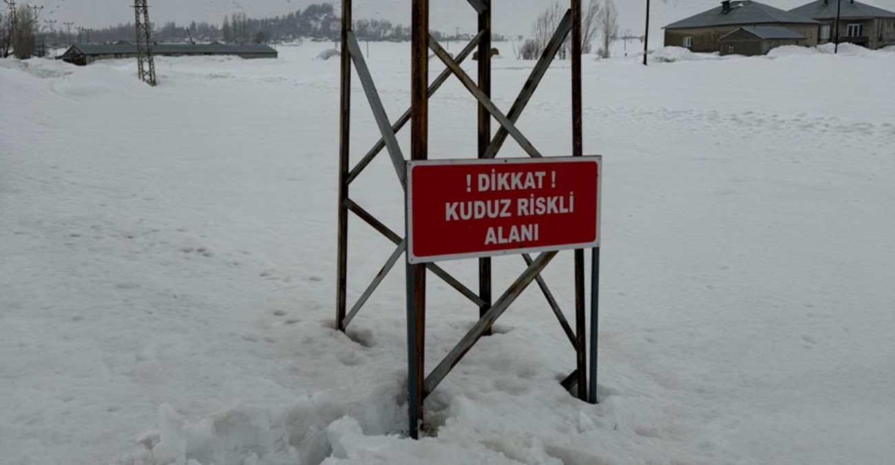 Yüksekova’da kuduz alarmı