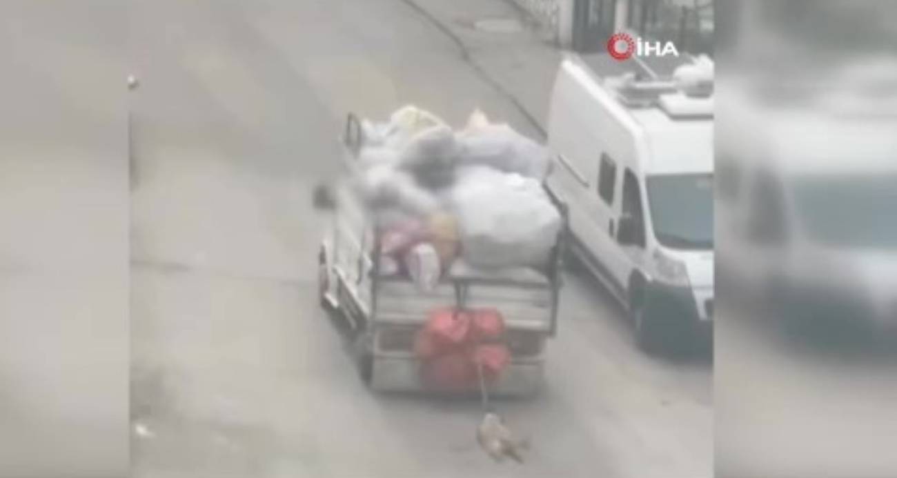 Ankara’da kamyonetin arkasına köpeği bağlayıp sürükleyen sürücü gözaltına alındı