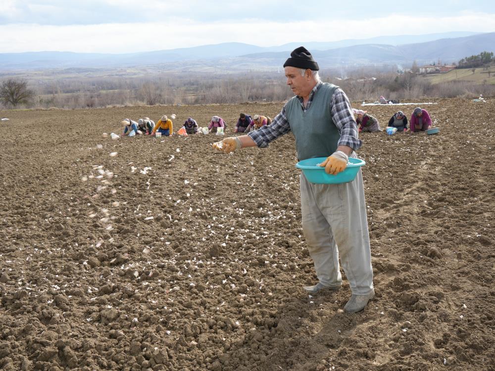 Annenin fedakarlık dolu yolculuğu: Çocukları için megakenti bırakıp toprağa sarıldı