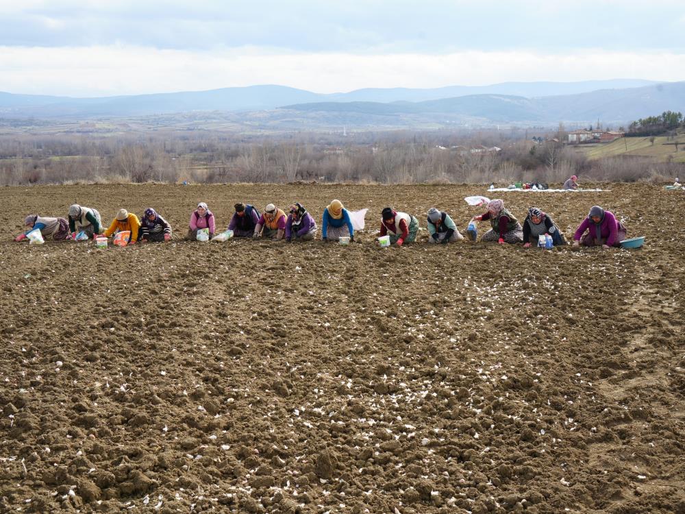 Annenin fedakarlık dolu yolculuğu: Çocukları için megakenti bırakıp toprağa sarıldı