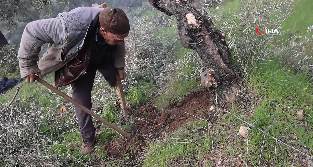 Film sahnesi değil gerçek: Azmiyle örnek oluyor