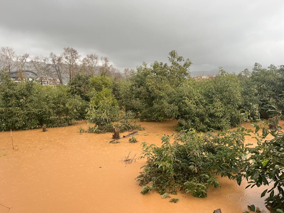 Alanya’da sağanak sebebiyle Oba Çayı taştı, binaların bahçelerini su bastı