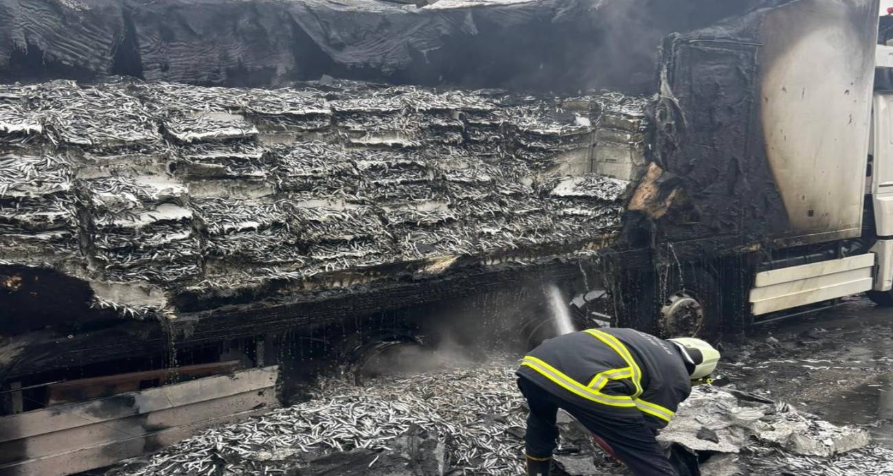 Hamsi yüklü tır alevlere teslim oldu