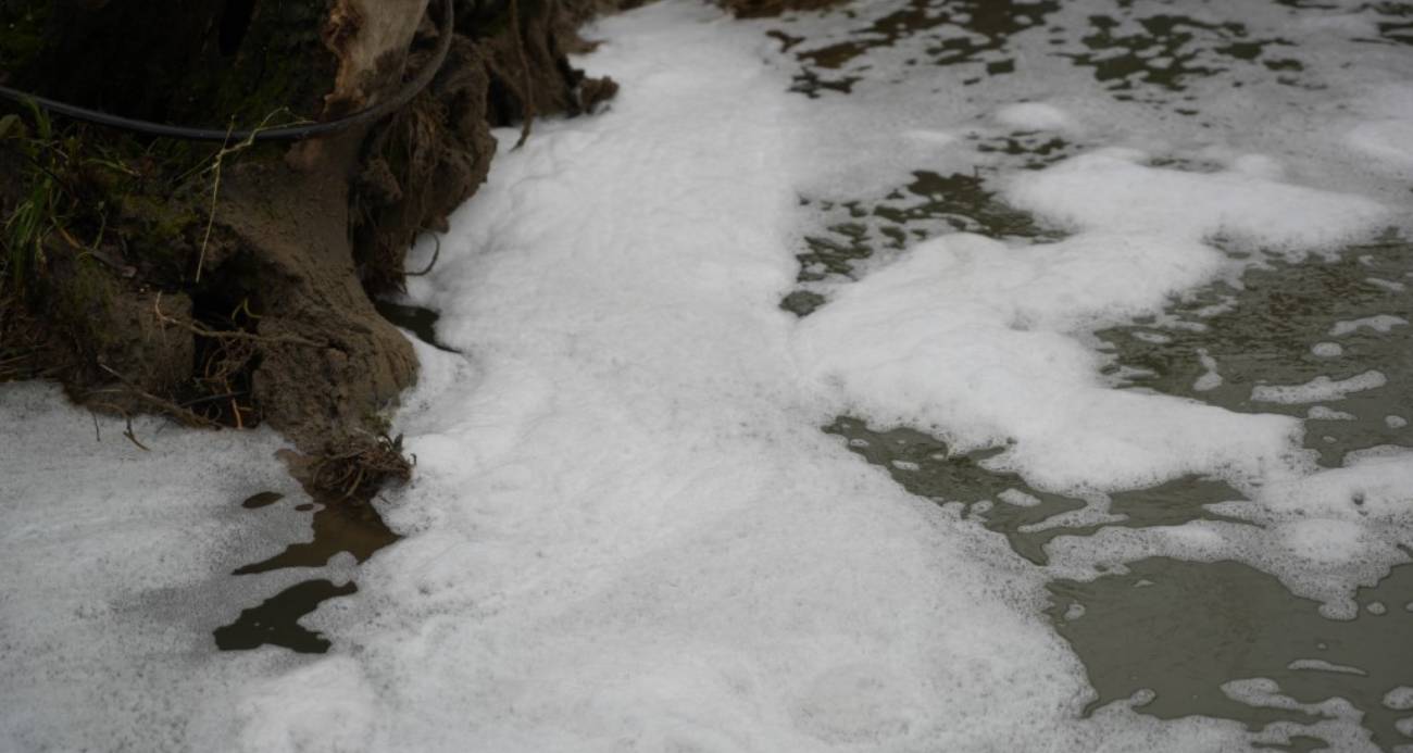 Köpüren dereden ağır kokular yükseliyor
