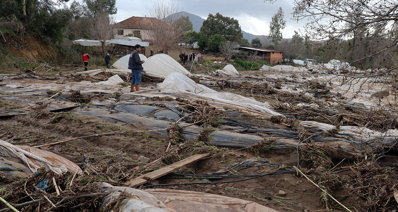 Tüm birikimlerini 1 saatte kaybettiler