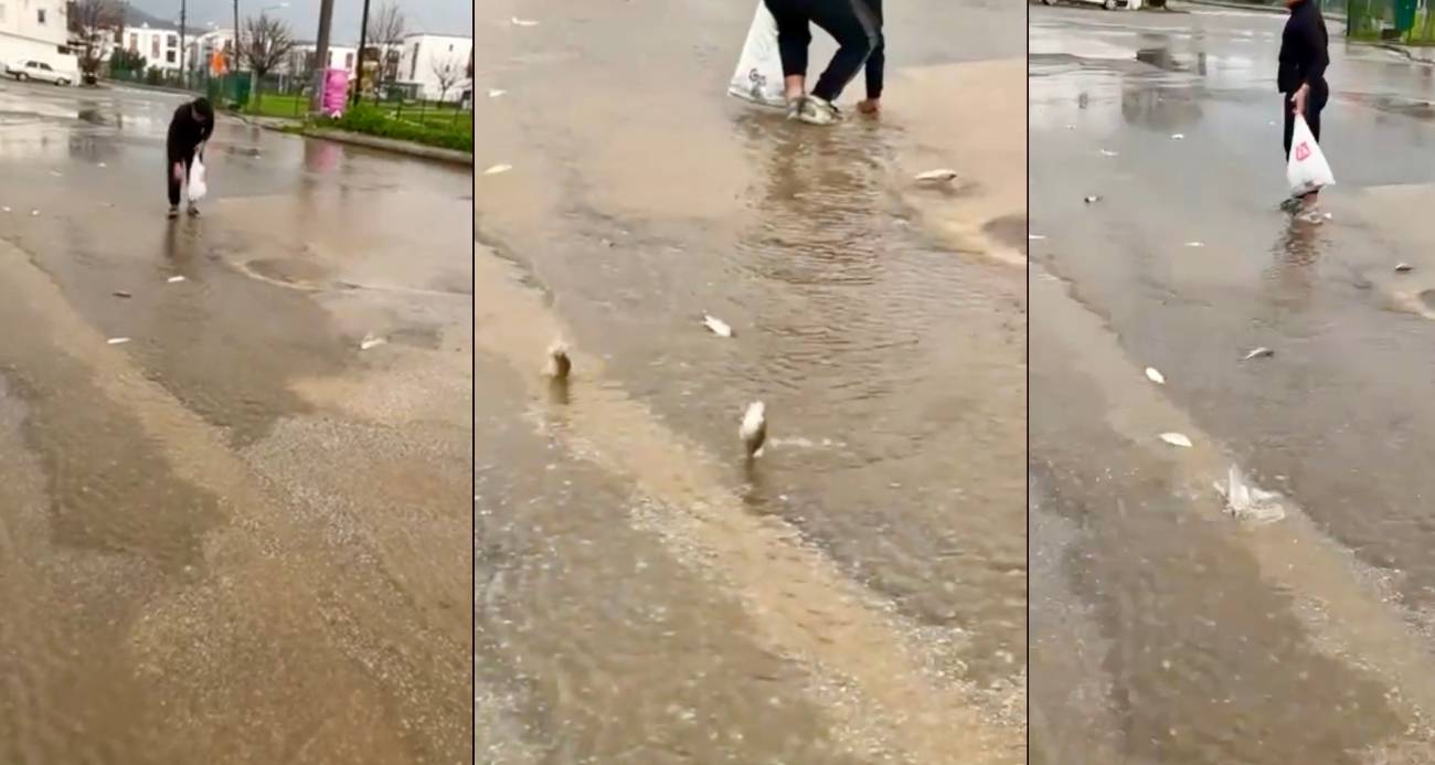 Bodrum’da sağanak baskını: Gölet taştı, asfalta balık yağdı