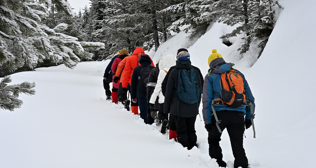 Elazığ'da iki otomobil çarpıştı: 1'i ağır 3 yaralı
