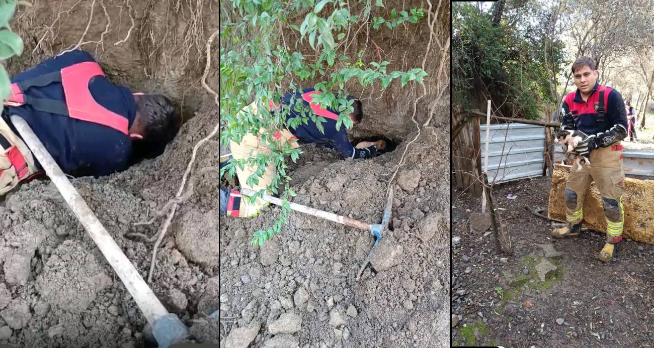 Hatay’da toprağın kaymasıyla göçük altında kalan yavru köpekler kurtarıldı