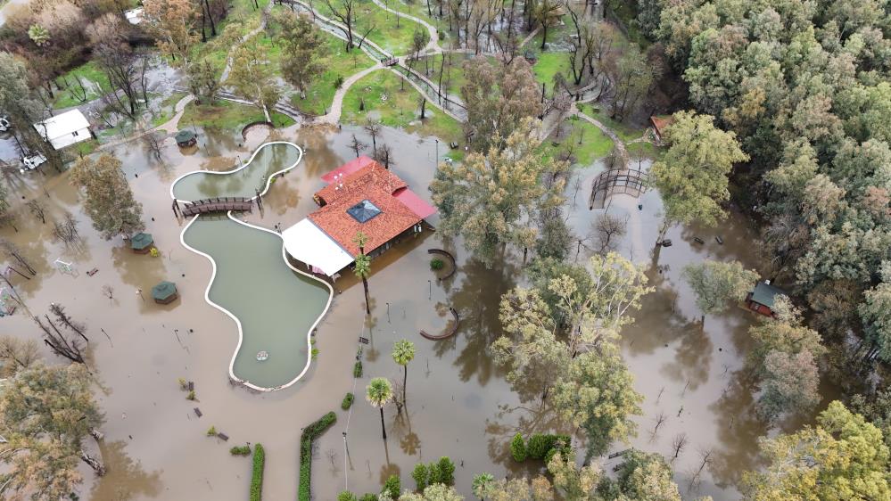 Köyceğiz Göl’ü taştı, ilçe Venedik’e döndü