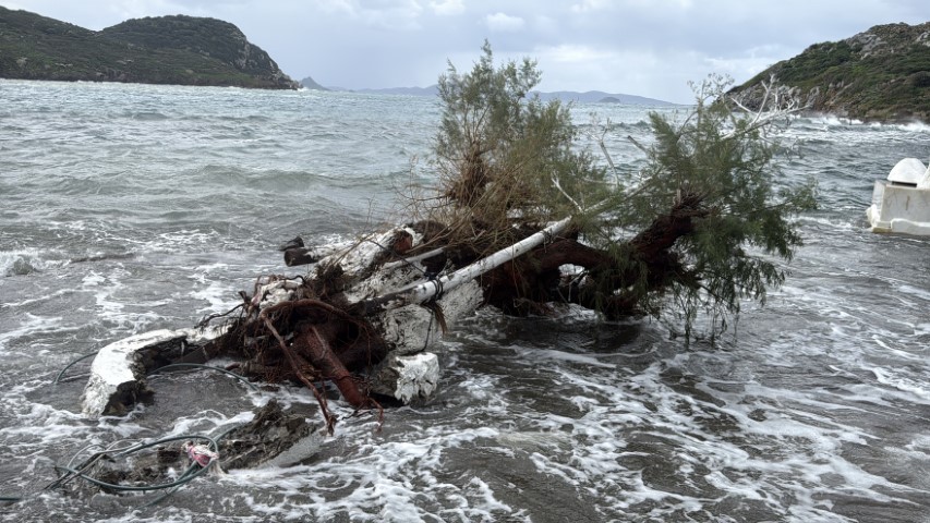Bodrum sahili savaş alanına döndü: