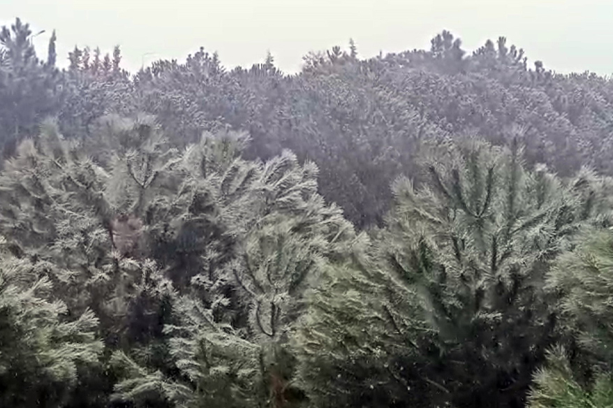 İstanbul’da yüksek kesimlerde kar yağışı başladı