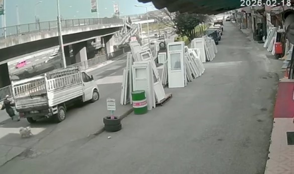 Trabzon’da sokak köpeğinin saldırısından kaçmaya çalışan üniversite öğrencisi genç kız yola atlayınca belediye otobüsünün çarpması sonucu ağır yaralandı.