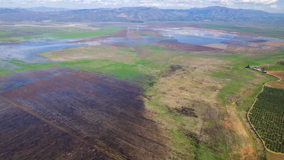 Kuruyan Marmara Gölünde umutlandıran görüntü