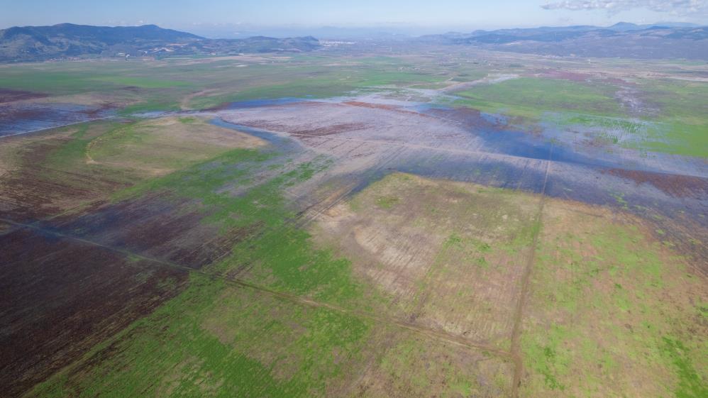 Kuruyan Marmara Gölünde umutlandıran görüntü