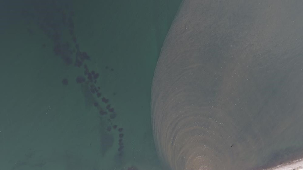 Boğaz’da alarm veren görüntü: Kirlilik denizanasını yüzeye çıkardı